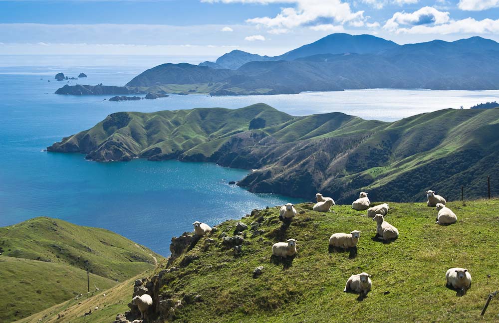 French Pass and D'Urville Island, New Zealand