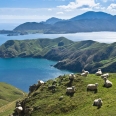 French Pass and D'Urville Island, New Zealand | photography