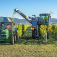 Wine harvester, Fairhall, Marlborough, New Zealand | photography