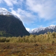 Milford Track, view from wetland boardwalk towards Mt Anau | photography