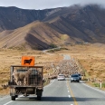 Ovce na silnici do průsmyku Lindis Pass, Nový Zéland | fotografie